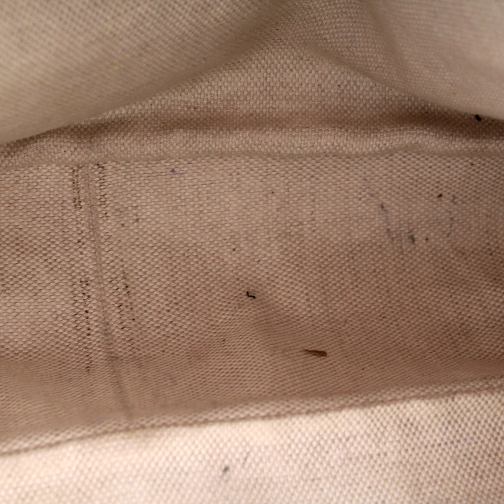 282315 Diana Bamboo GG Canvas - Image 12