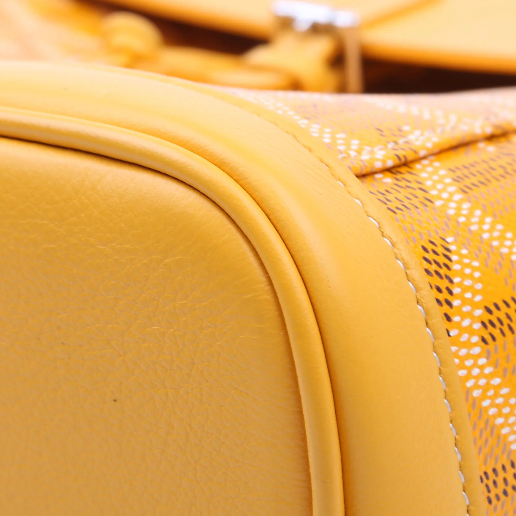 Alpin Mini Backpack Goyardine Canvas Yellow - Image 6