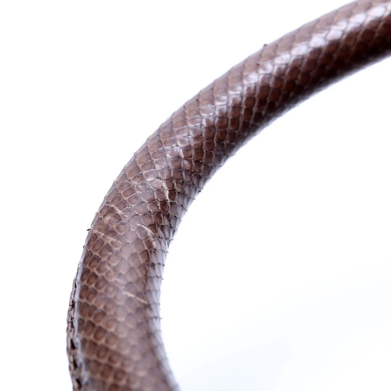 Artsy MM Python - Image 7