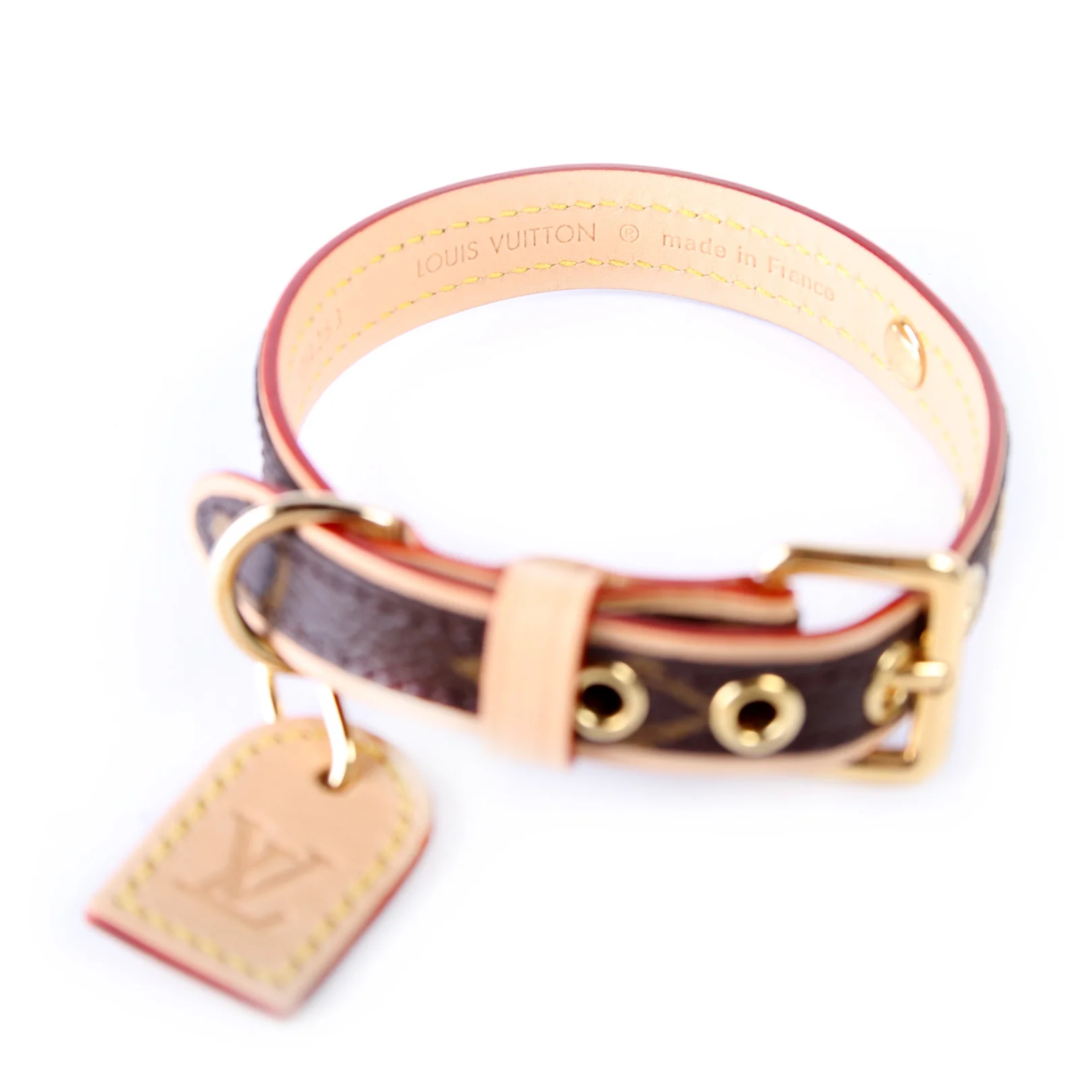 Baxter Pet Collar Size XS - Image 5