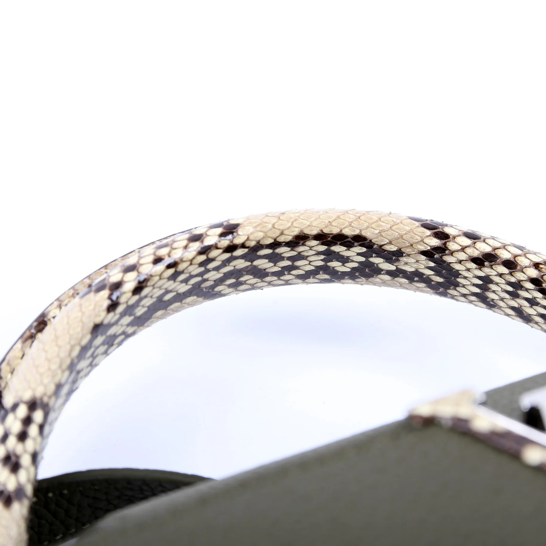 Capucines PM Taurillon/Python Green - Image 7