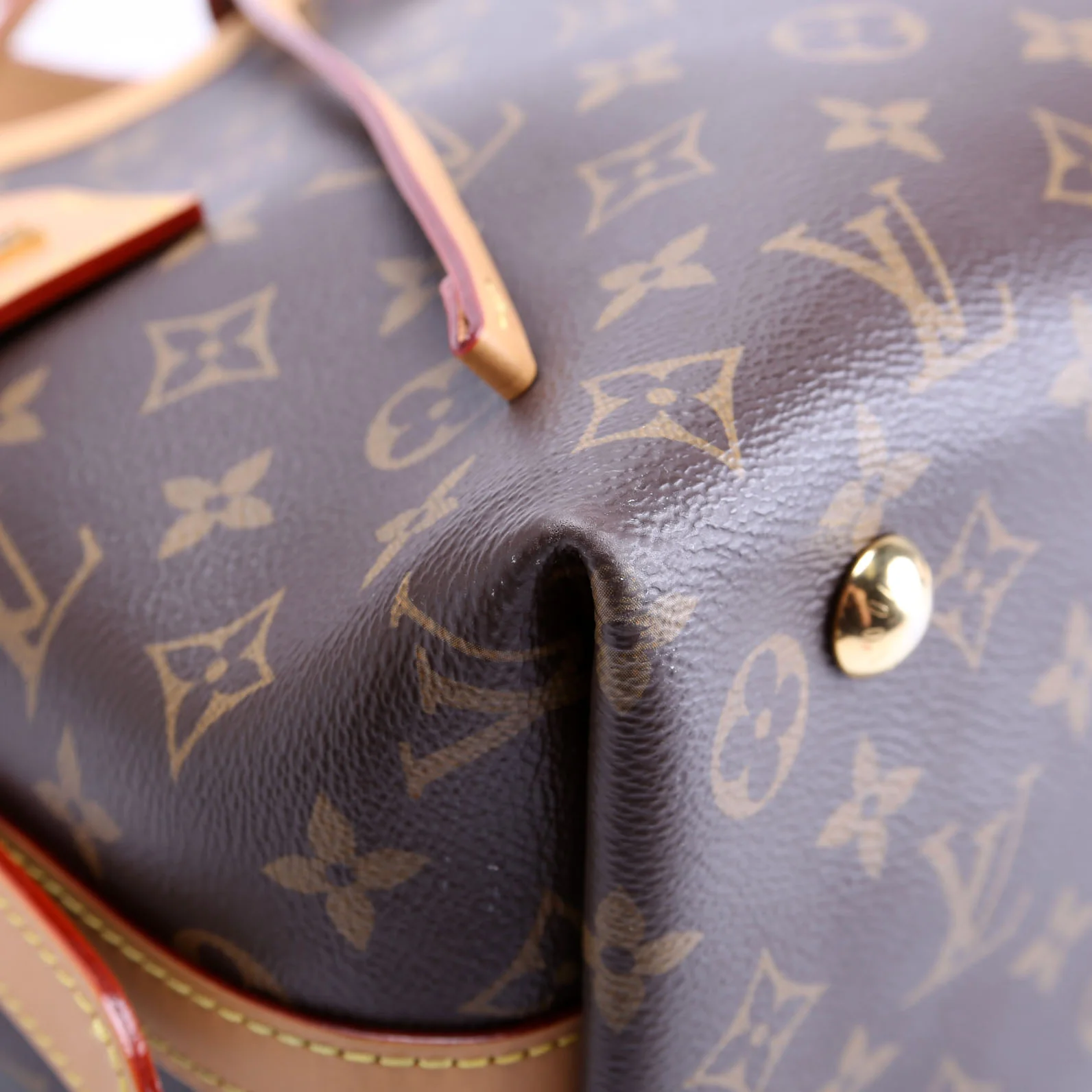 Carryall PM Monogram - Image 5