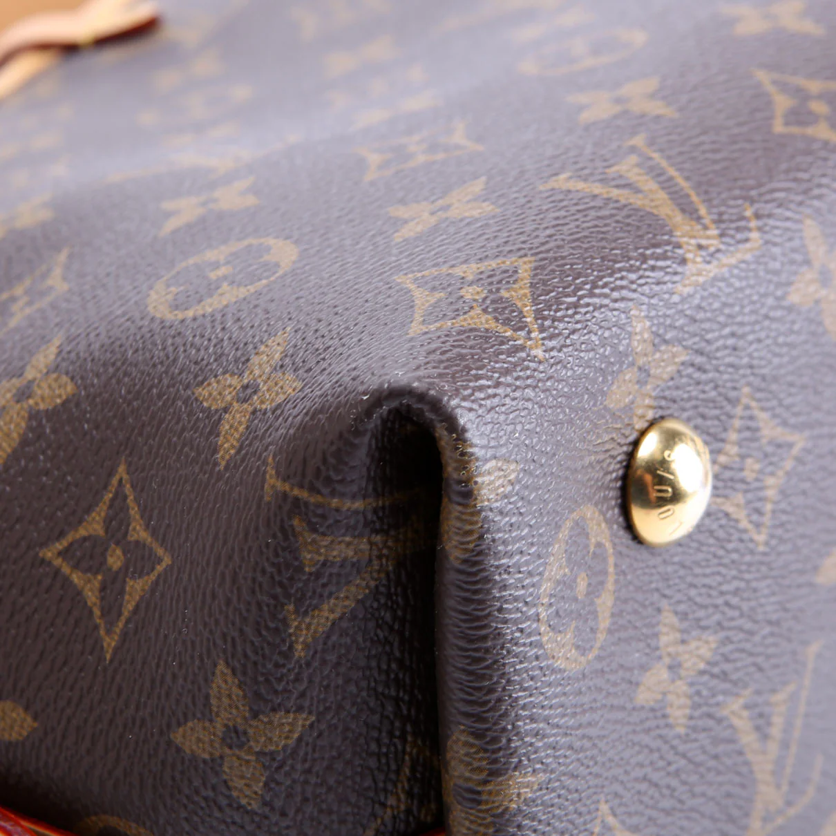 Carryall PM Monogram - Image 5