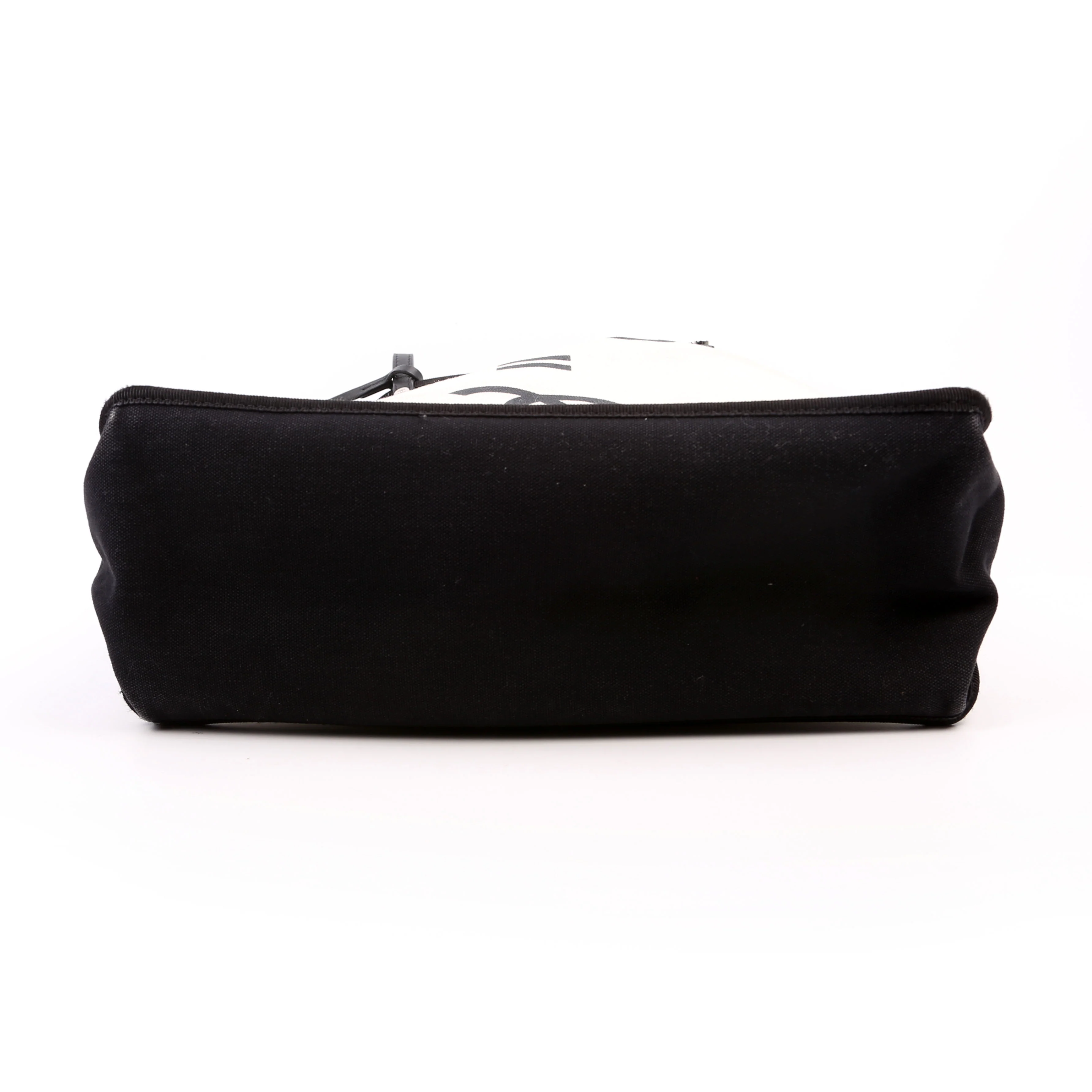 CC Lets Demonstrate Canvas Tote Small 20M - Image 5