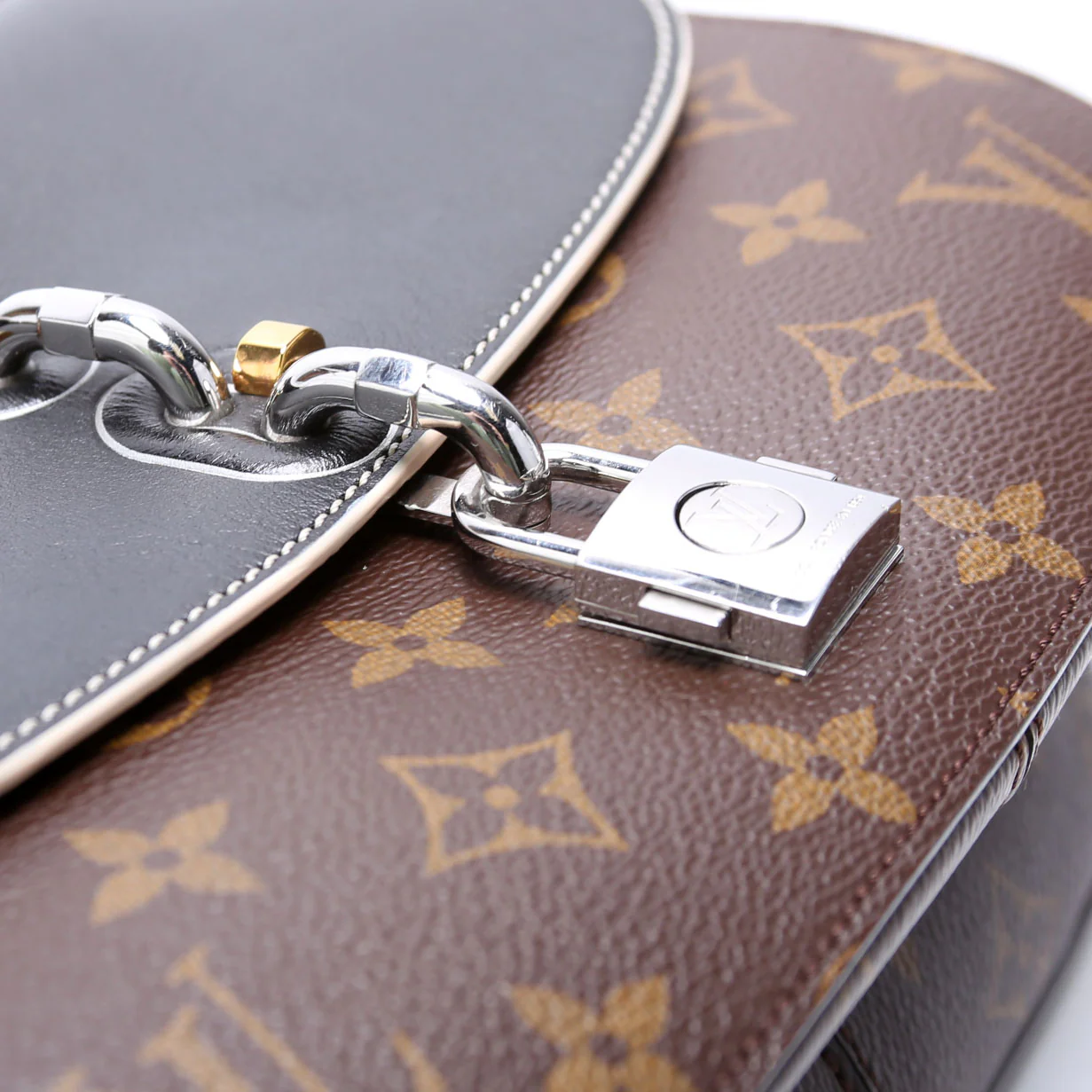 Chain It PM Monogram - Image 6
