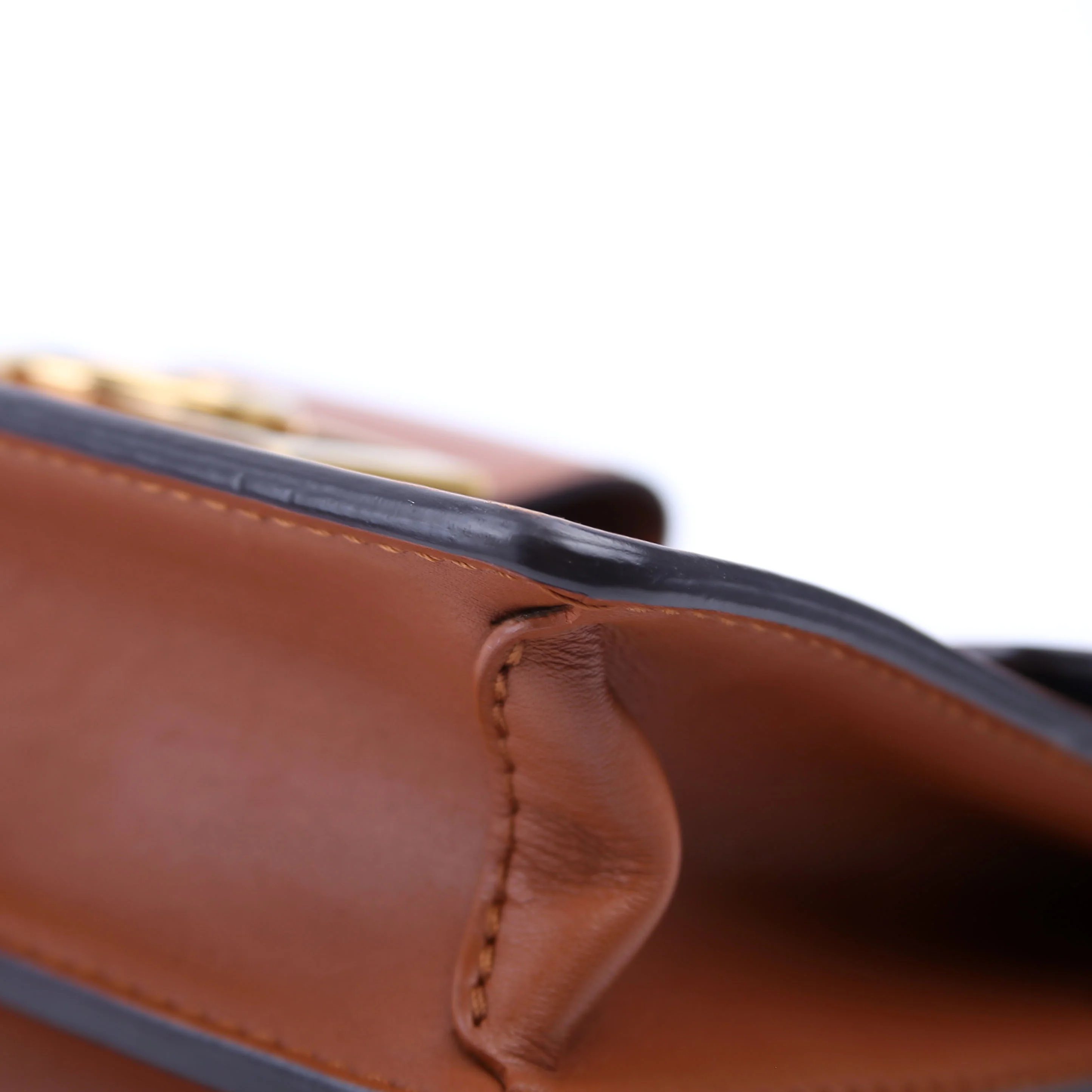 Dauphine Mini Taurillon Leather - Image 6