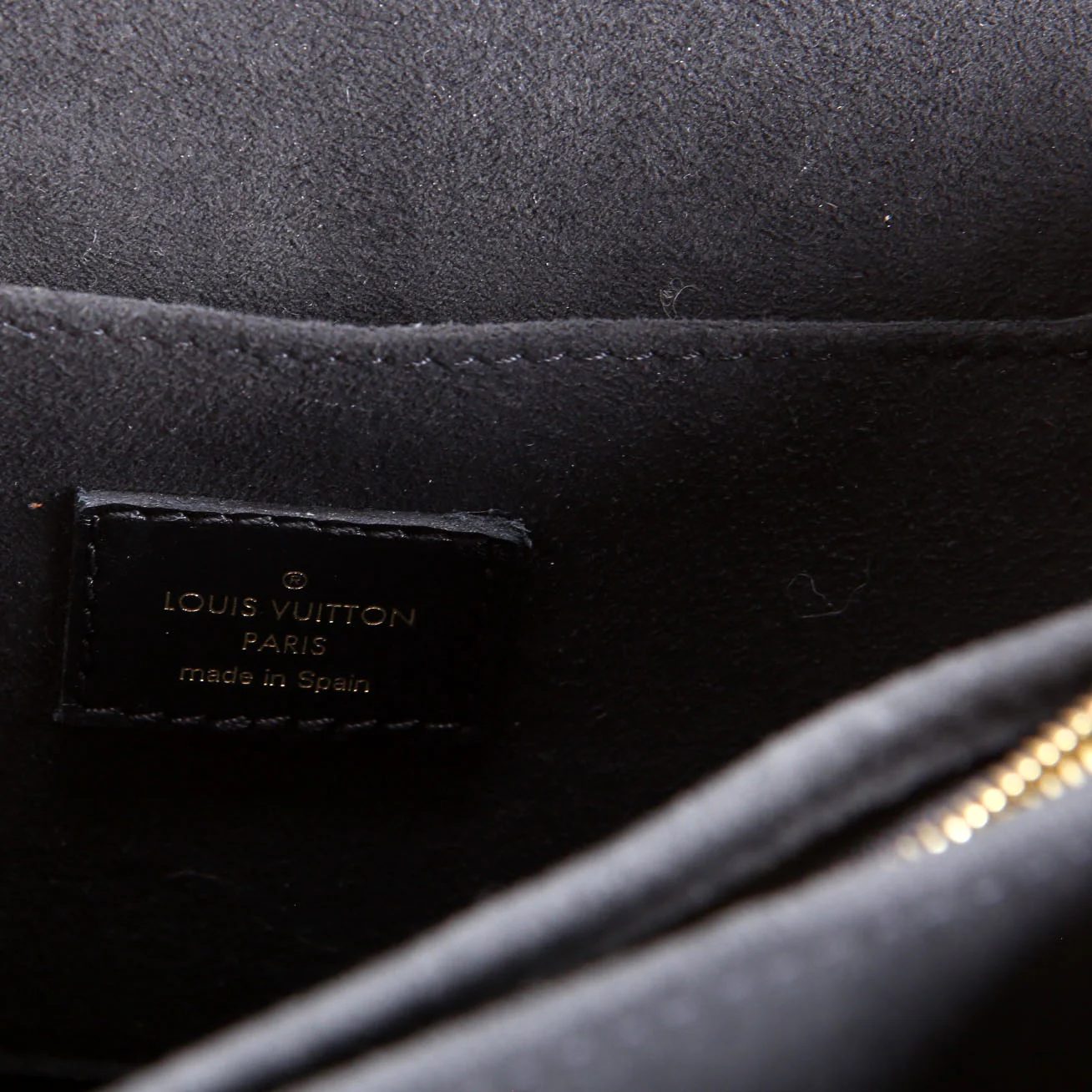 Dauphine MM Epi Black - Image 13