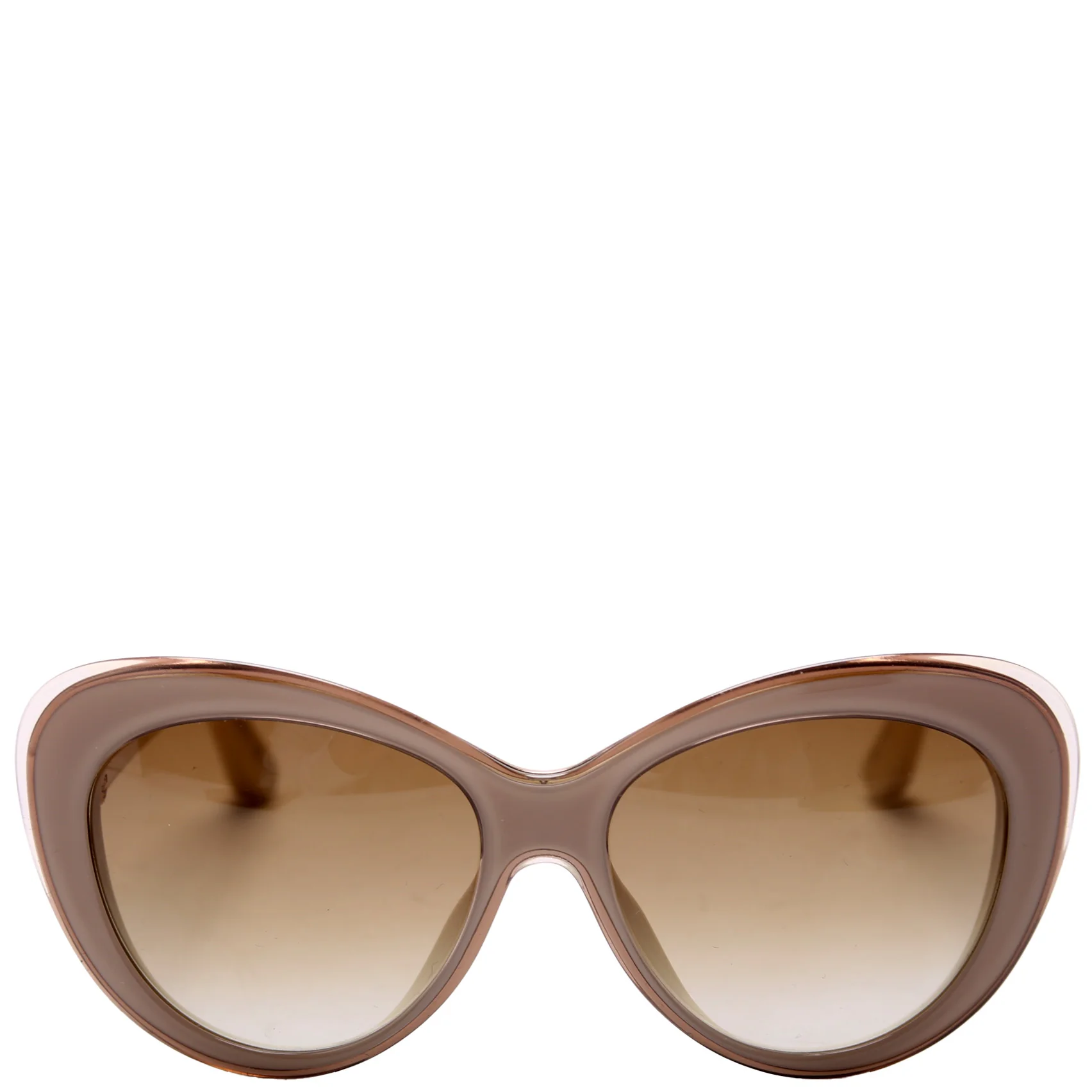 Diorpromesse 1 Sunglasses