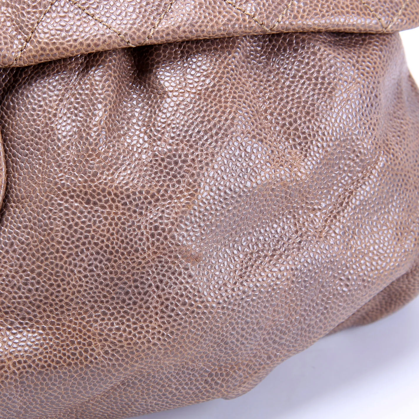 Elastic Flap Medium Caviar 16M - Image 7