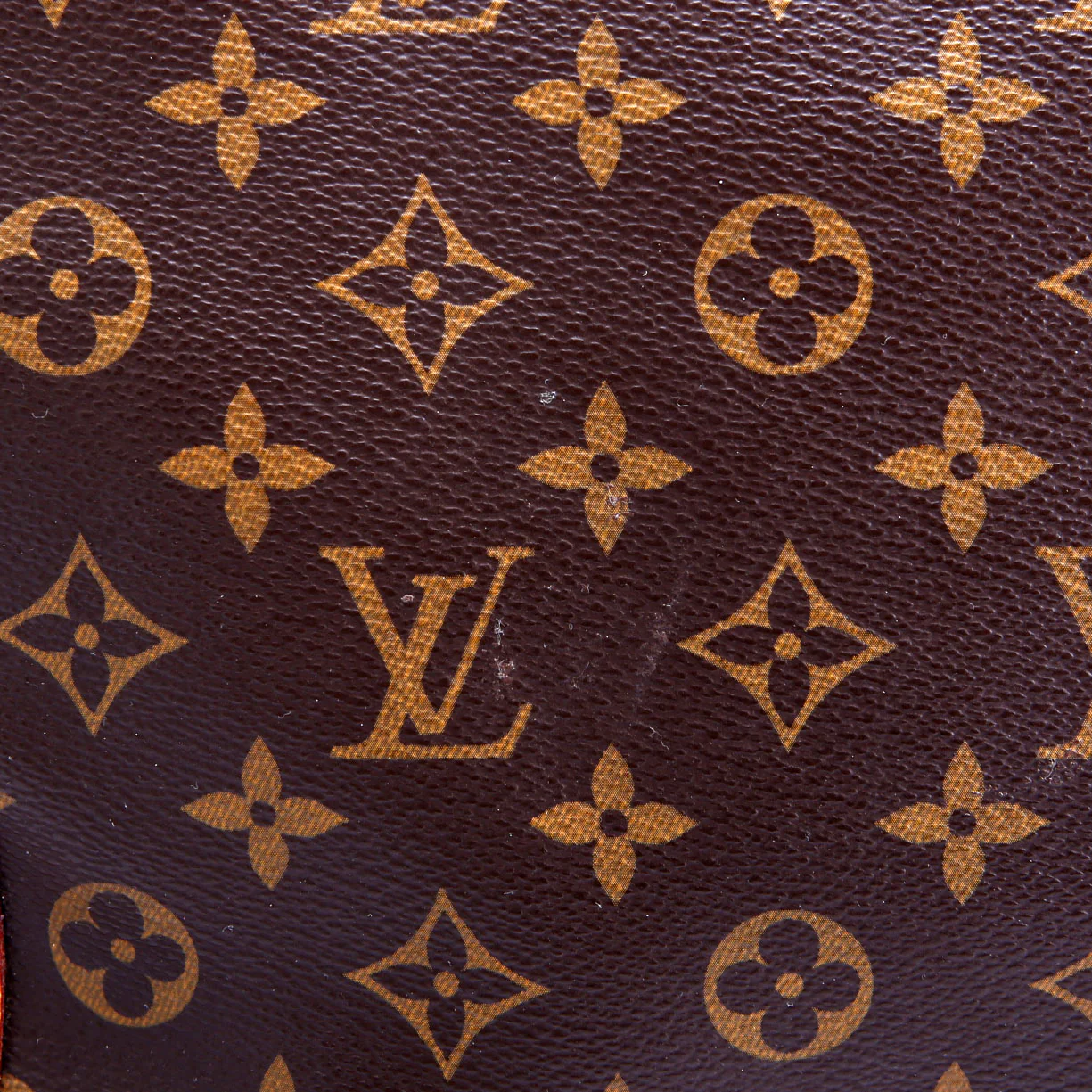 Estrela NM Monogram - Image 10