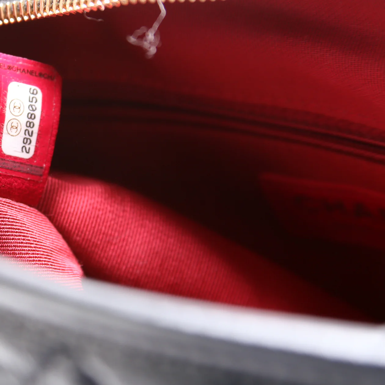 Gabrielle Hobo with Bicolor Logo Strap - Image 11