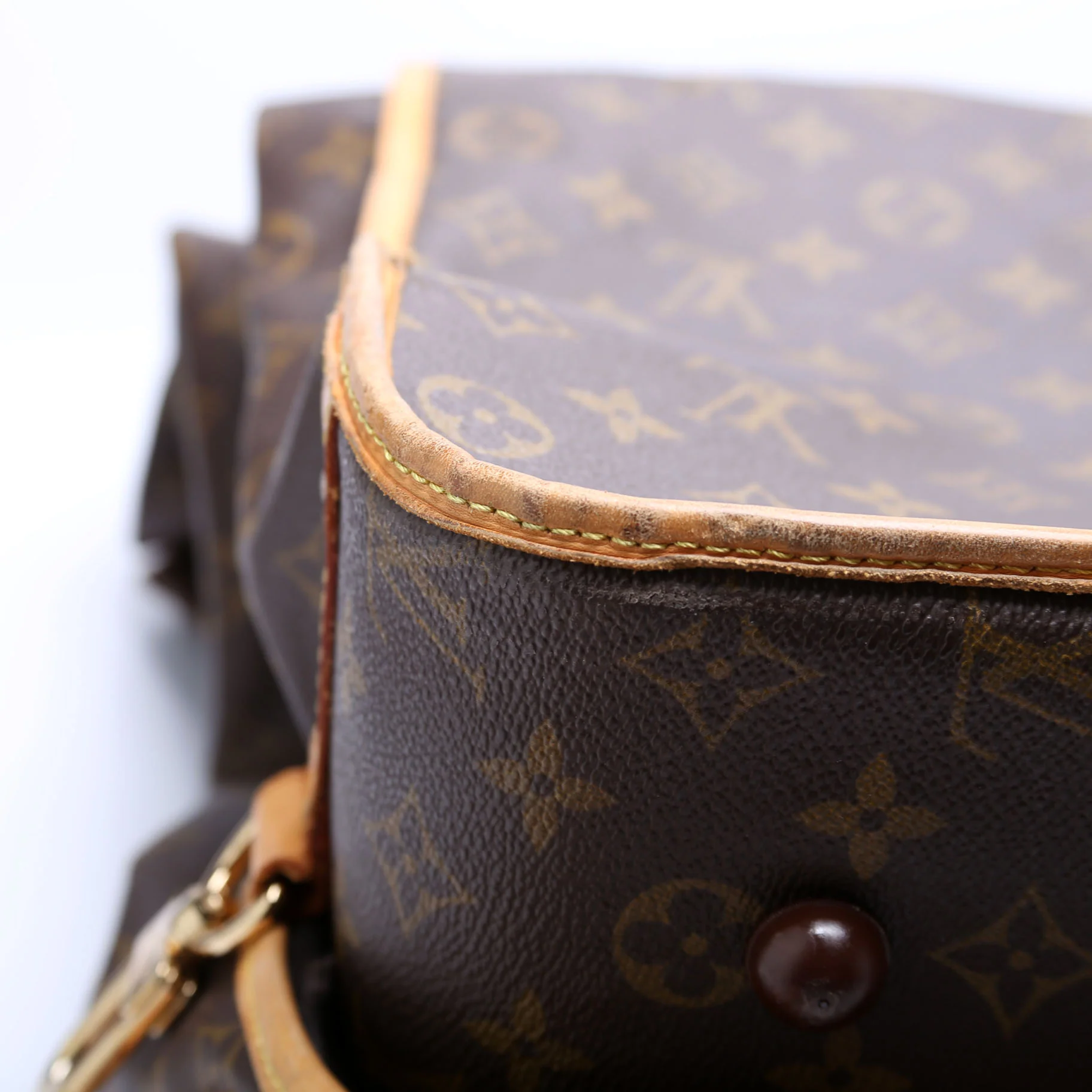 Garment Carrier Travel Bag Monogram - Image 12