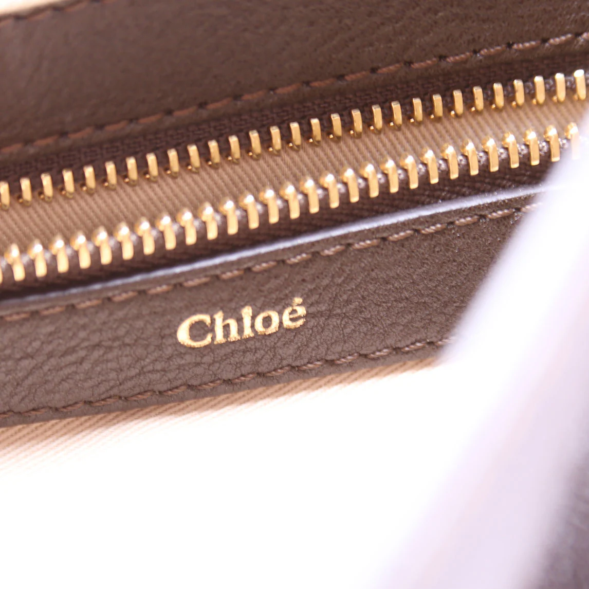 Georgia Hobo Calfskin Brown - Image 8