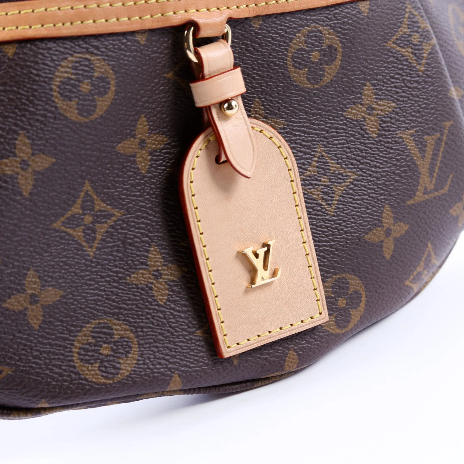 High Rise Bumbag Monogram - Image 8