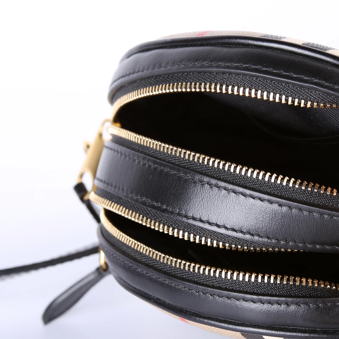 Louise Icon Stripe E-Canvas Crossbody - Image 10