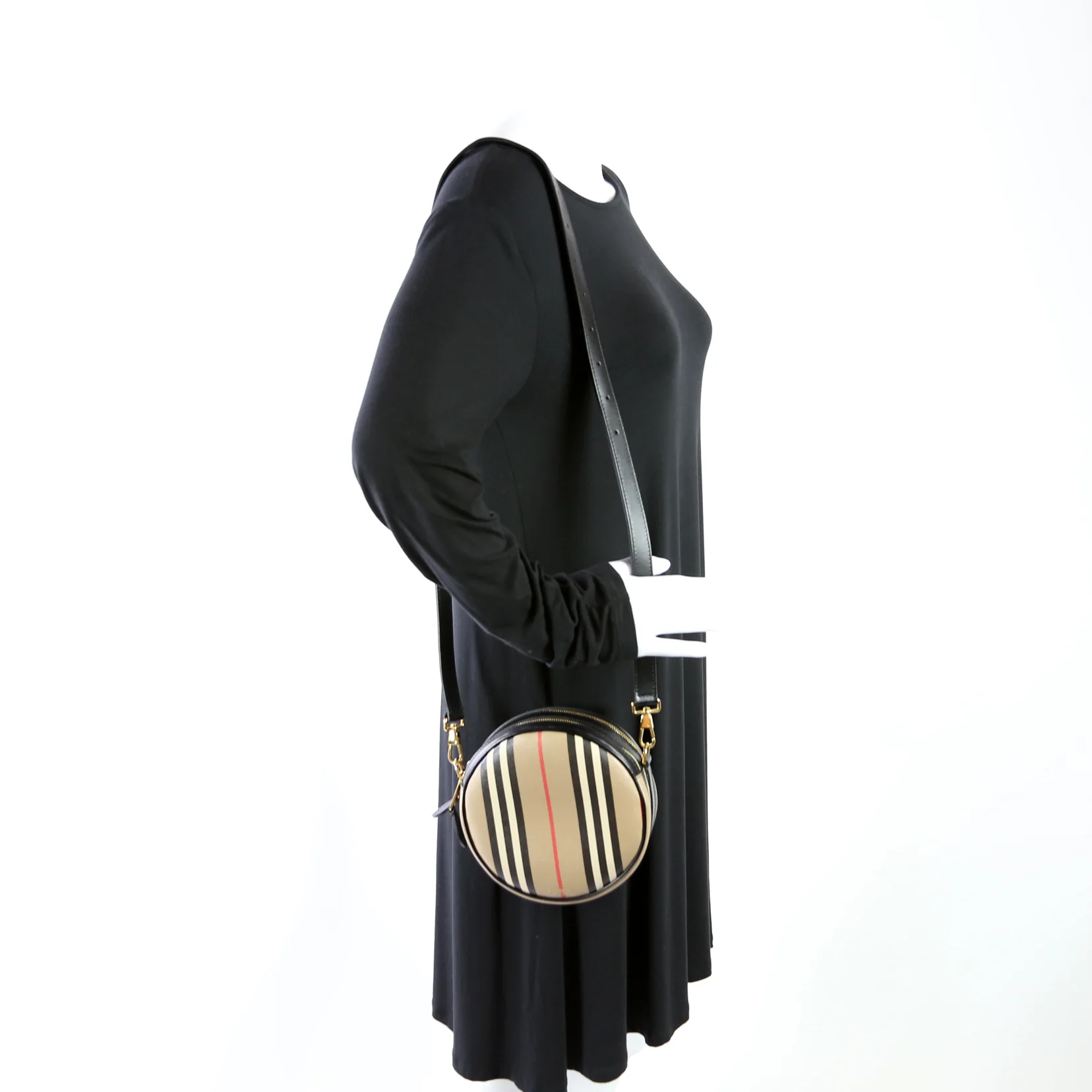 Louise Icon Stripe E-Canvas Crossbody - Image 11