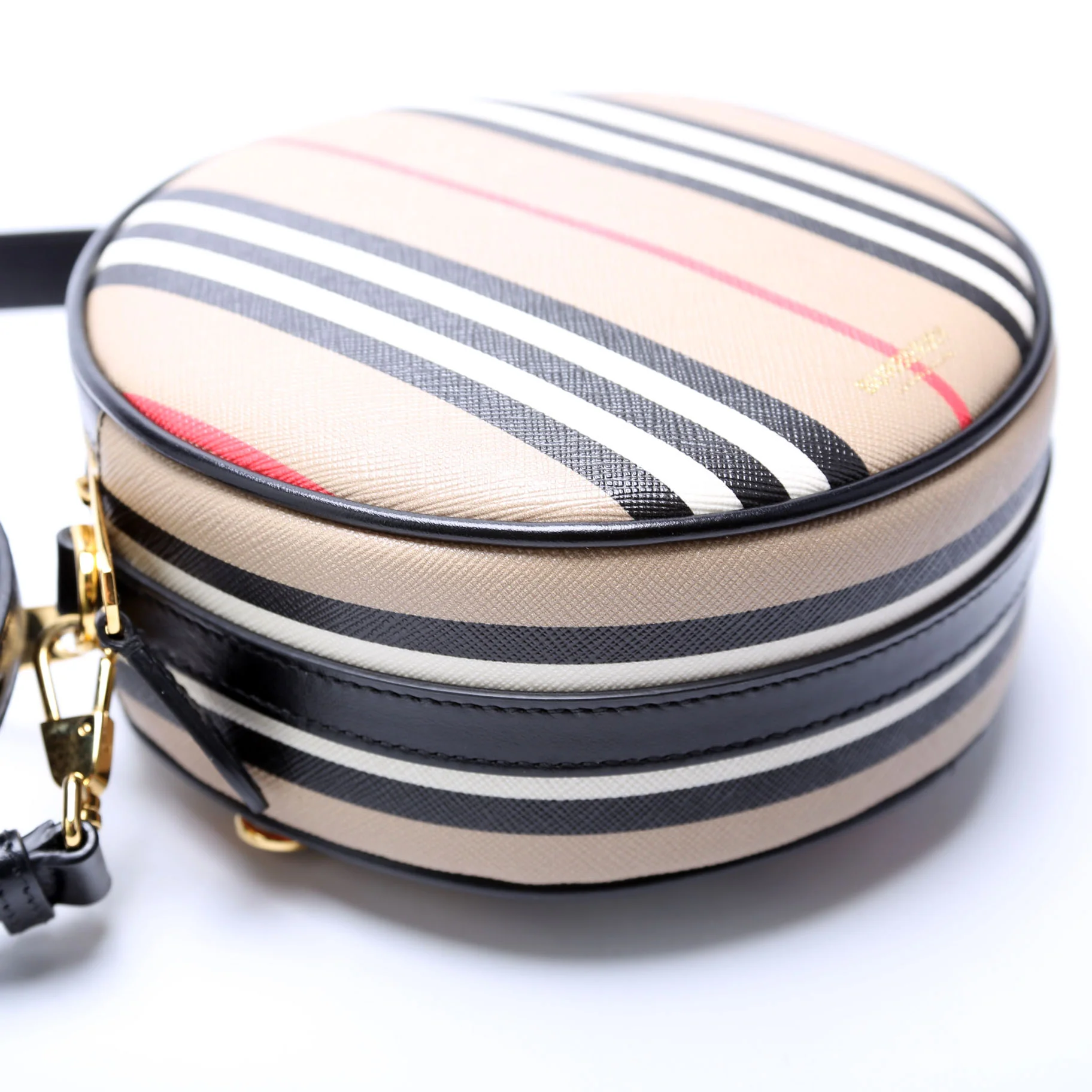 Louise Icon Stripe E-Canvas Crossbody - Image 5