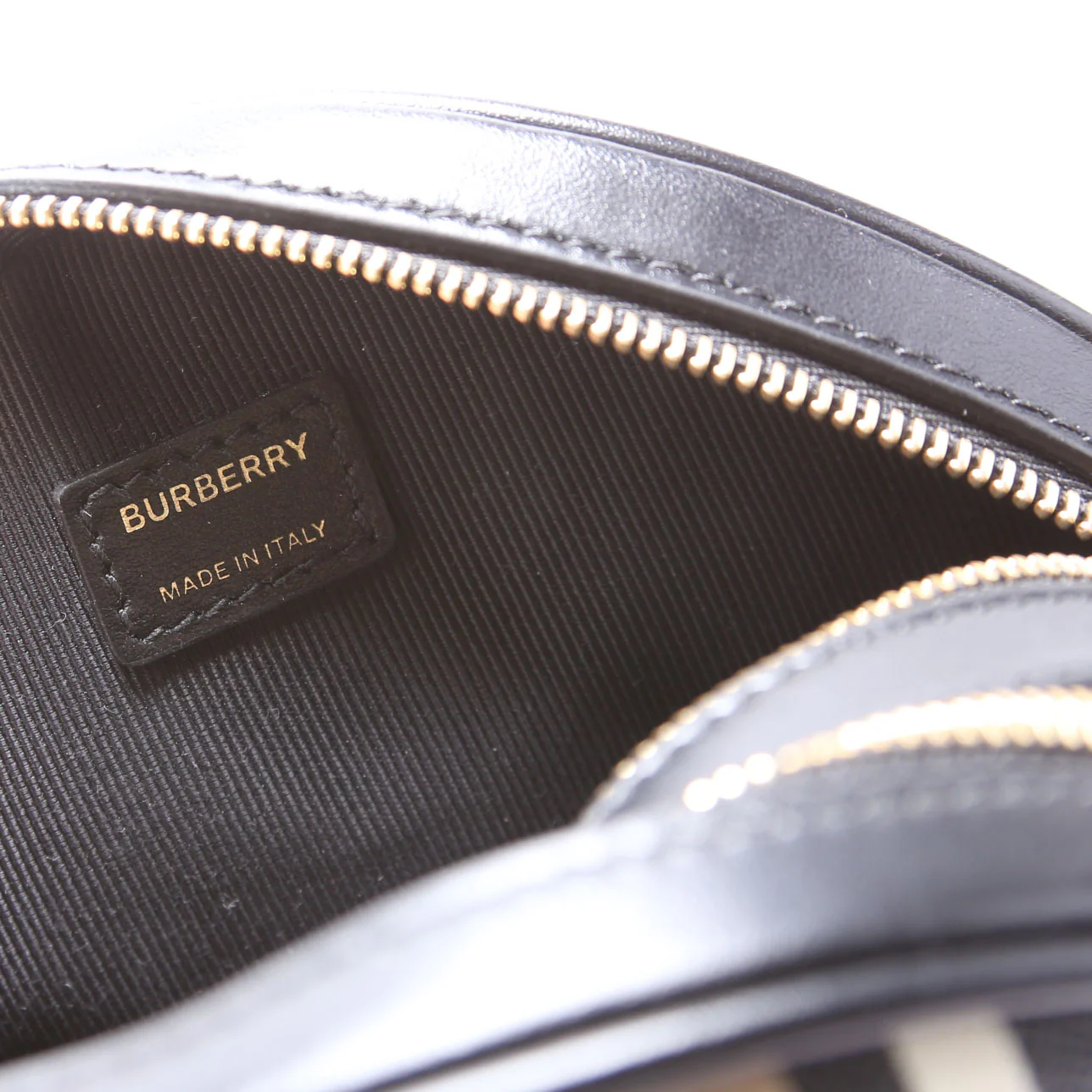 Louise Icon Stripe E-Canvas Crossbody - Image 8