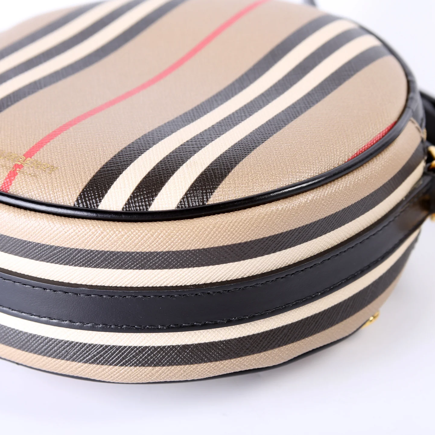 Louise Icon Stripe E-Canvas Crossbody - Image 7
