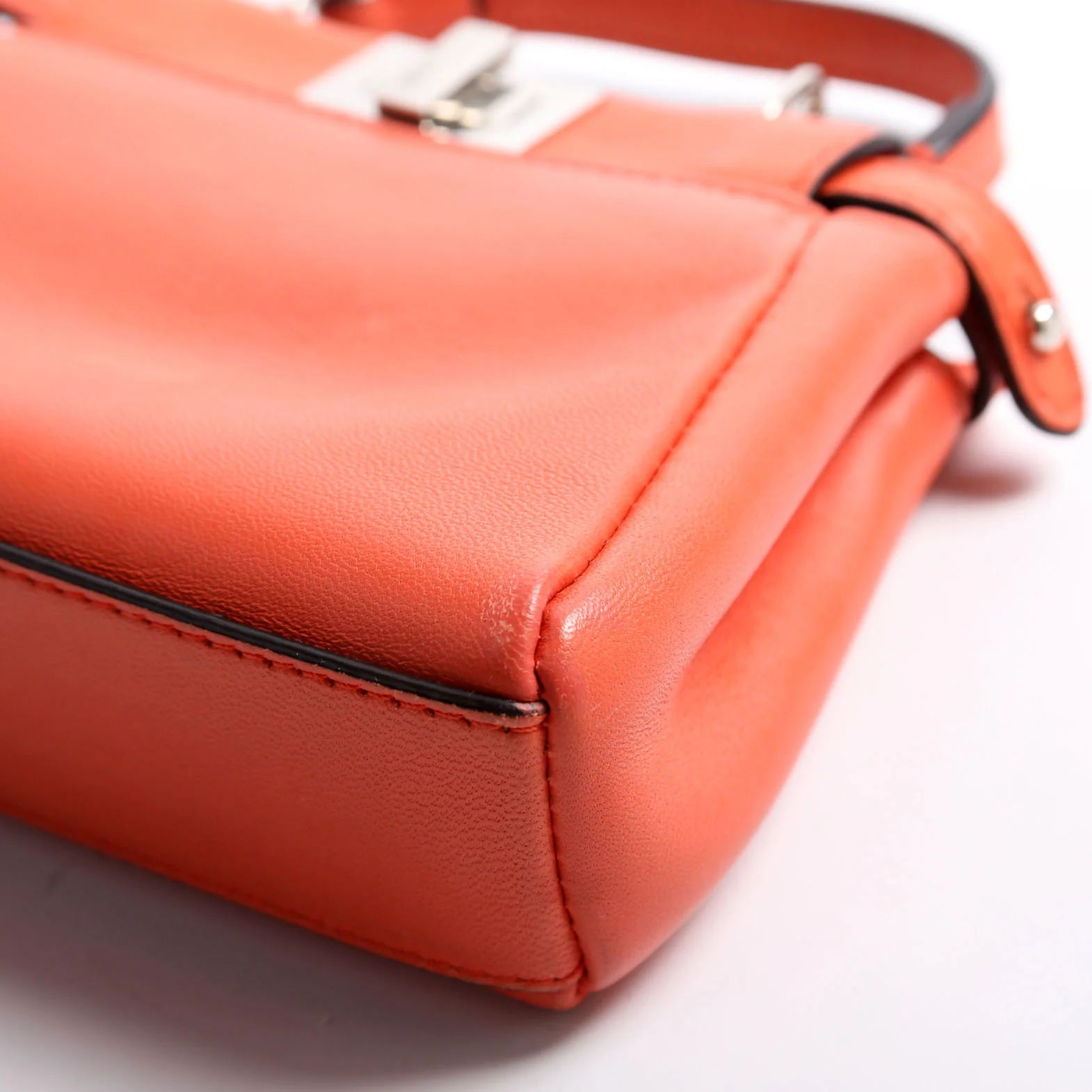 Micro Peekaboo Coral - Image 7