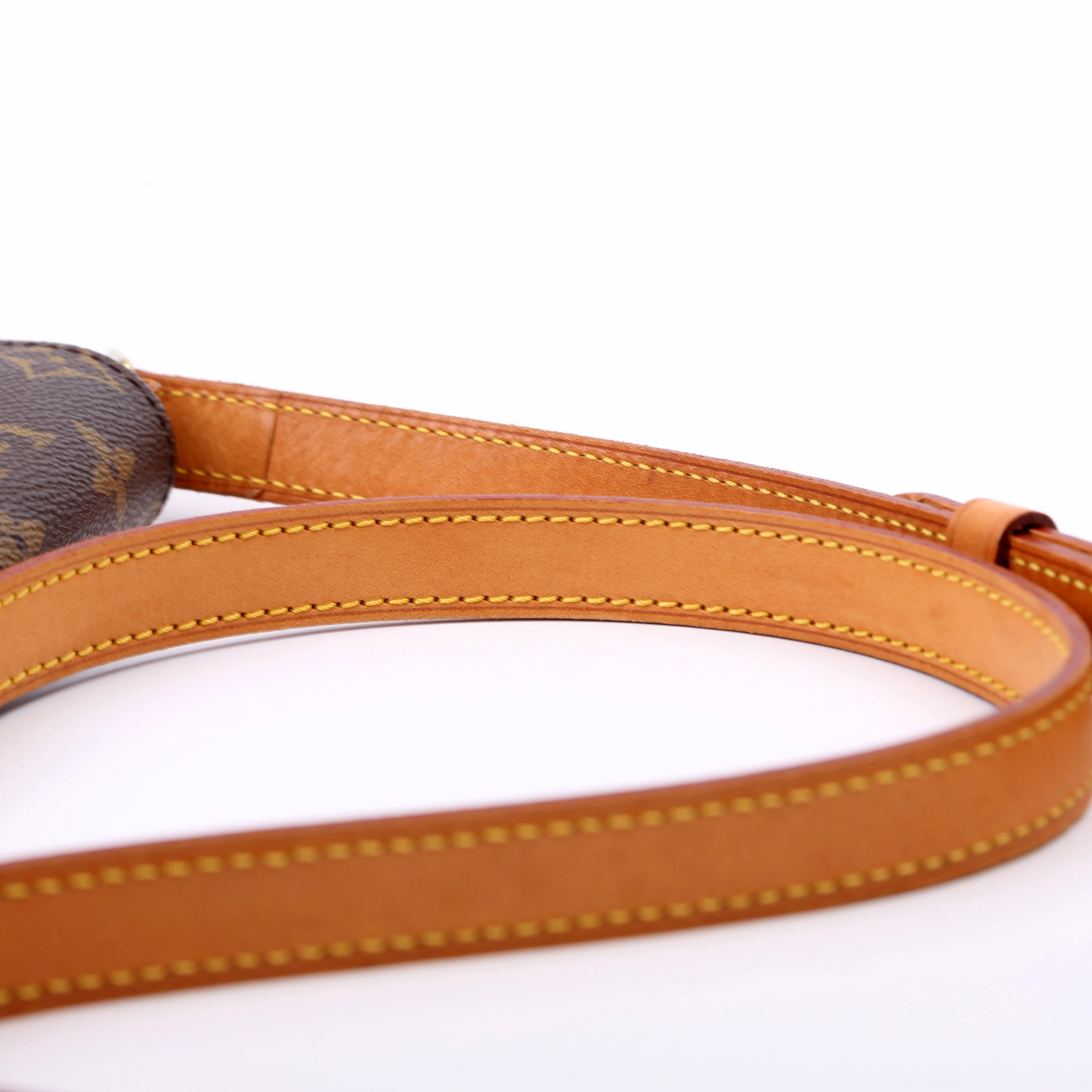 Musette Salsa Long Monogram - Image 13