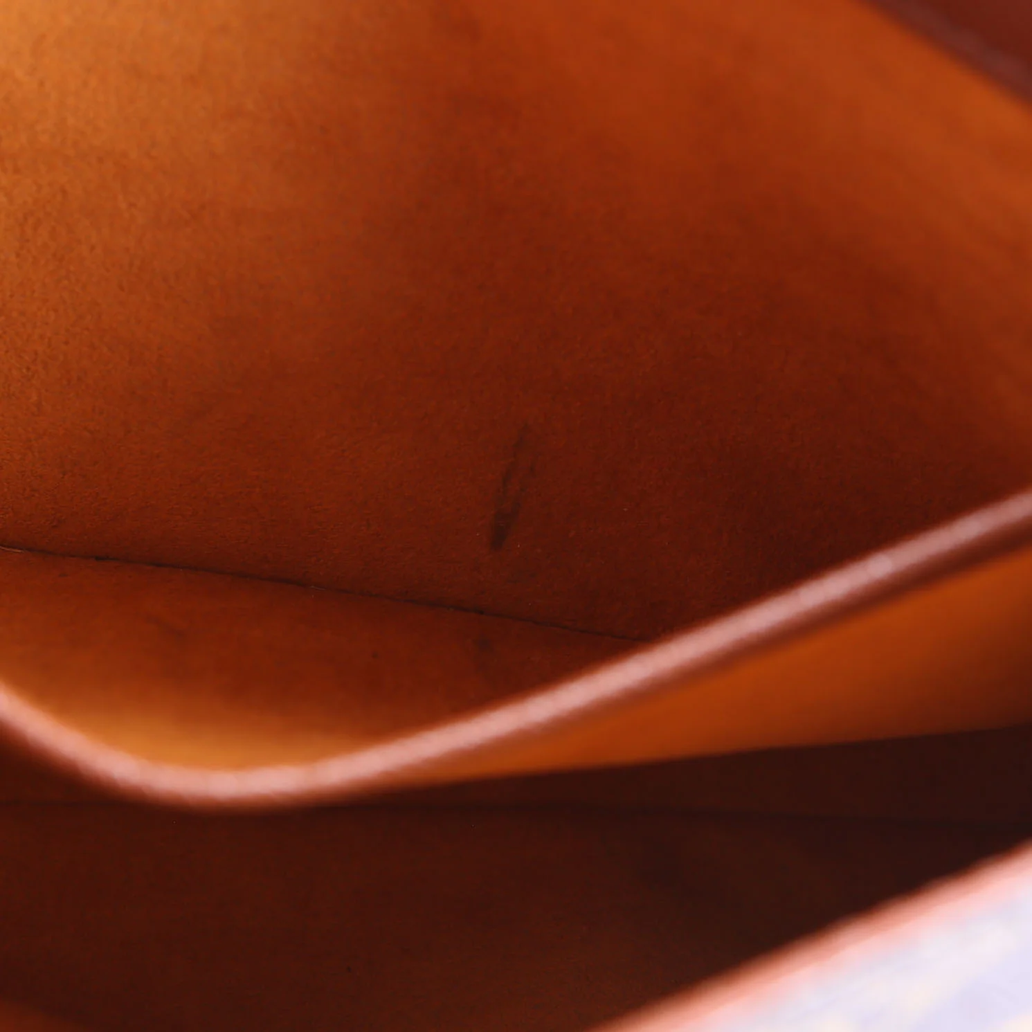 Musette Tango Short Monogram - Image 10