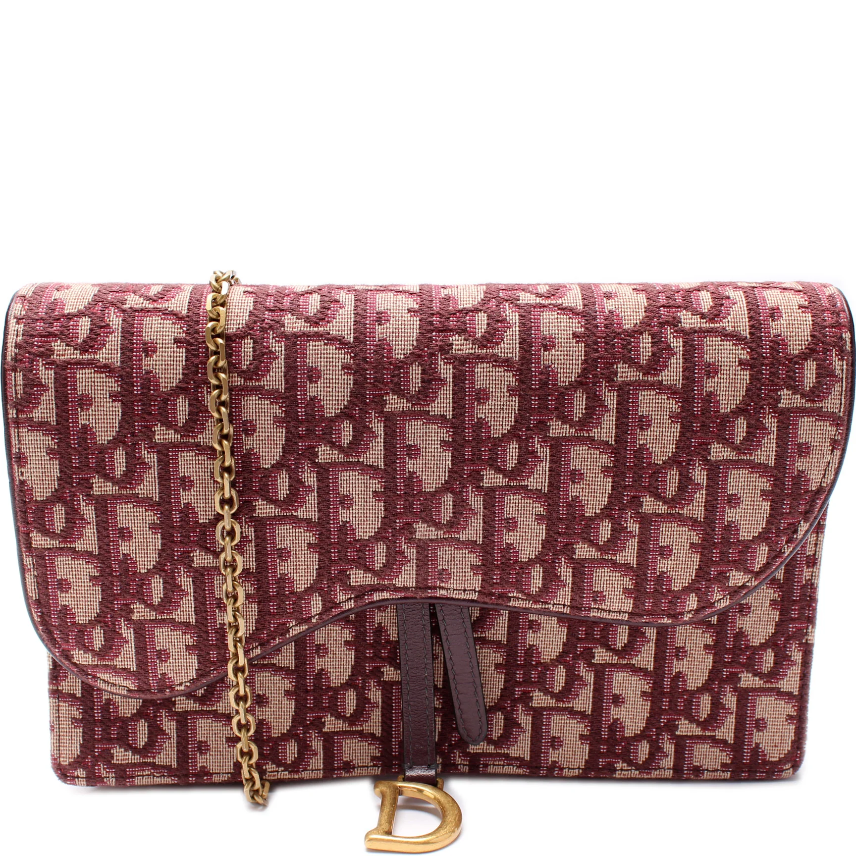 Oblique Chain Saddle Pouch