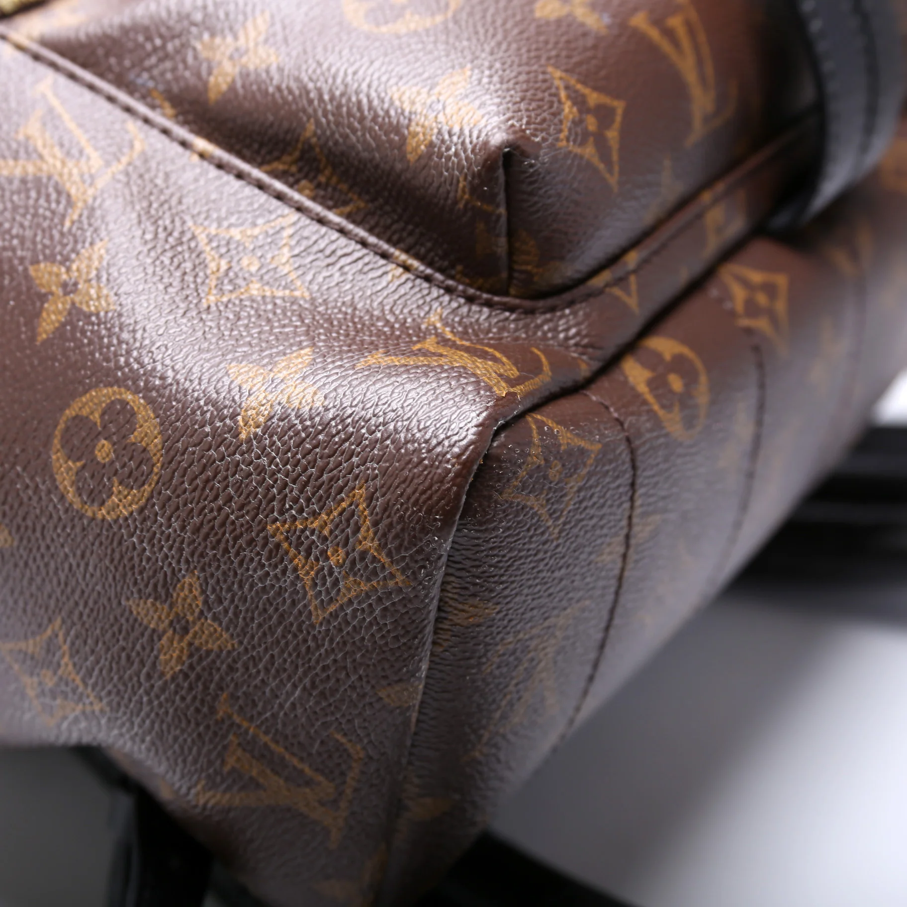 Palm Springs Backpack MM Monogram - Image 7