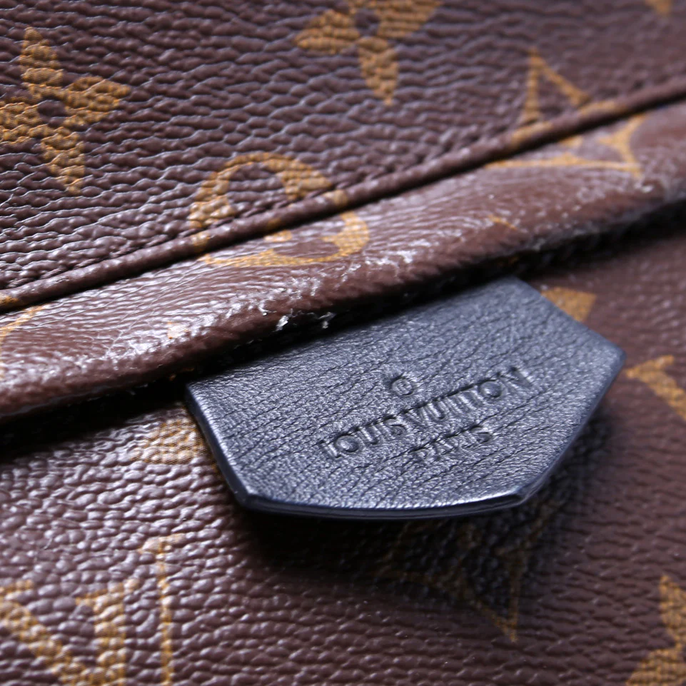 Palm Springs Backpack MM Monogram - Image 8