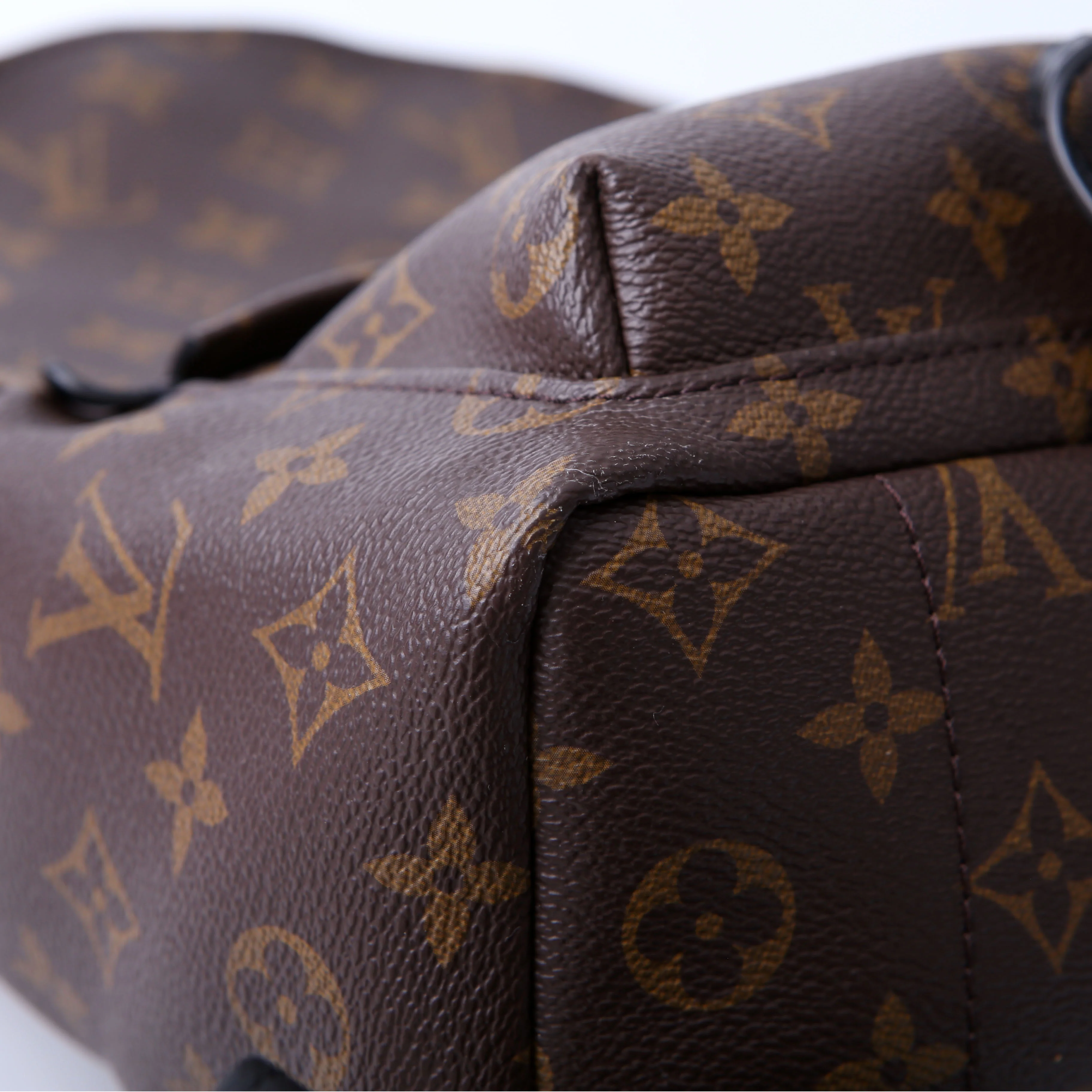 Palm Springs Backpack PM NM Monogram - Image 5