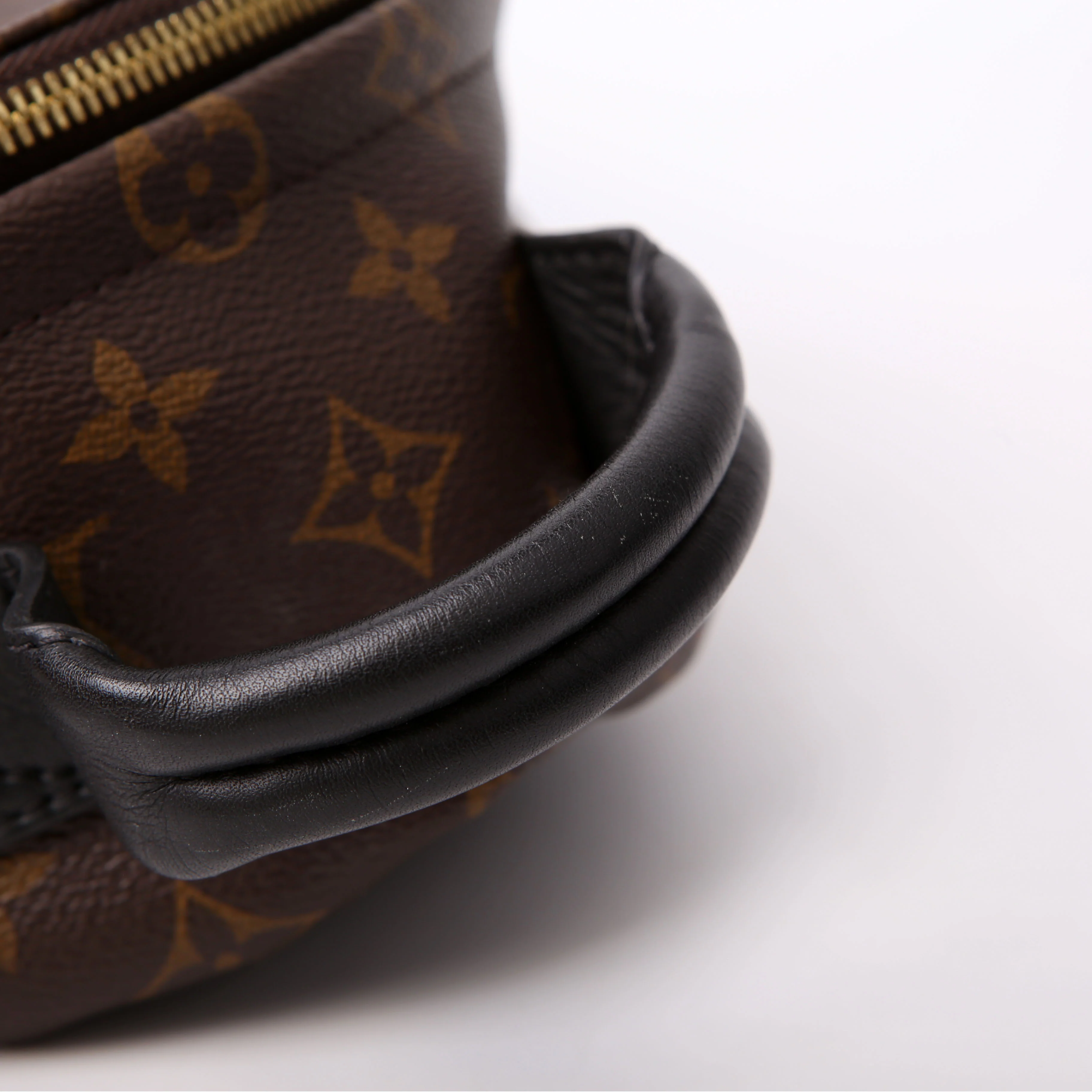 Palm Springs Backpack PM NM Monogram - Image 7