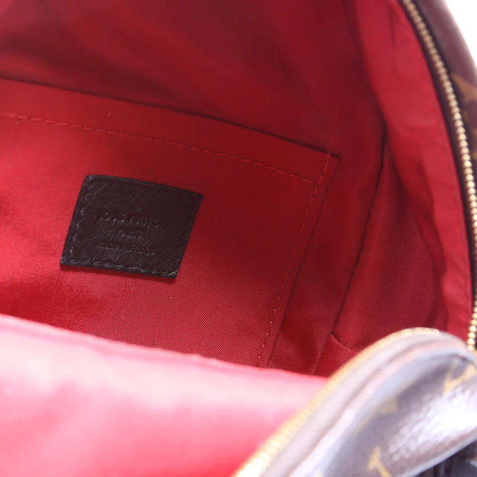 Palm Springs Mini Backpack World Tour Monogram - Image 8