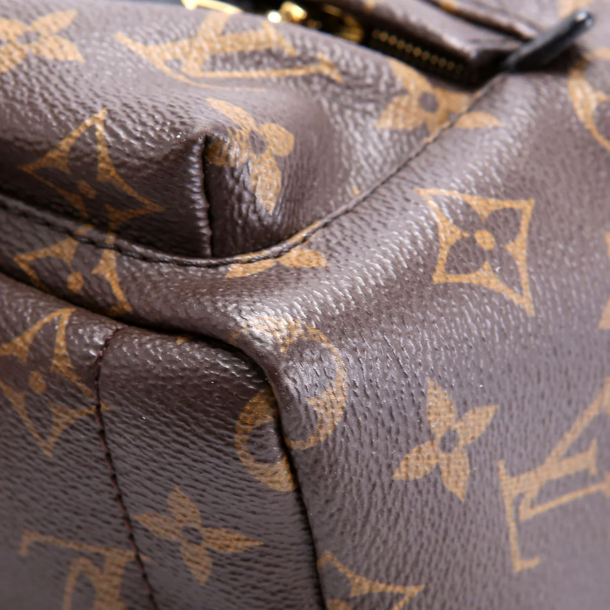 Palm Springs Mini Monogram Black/Brown - Image 6