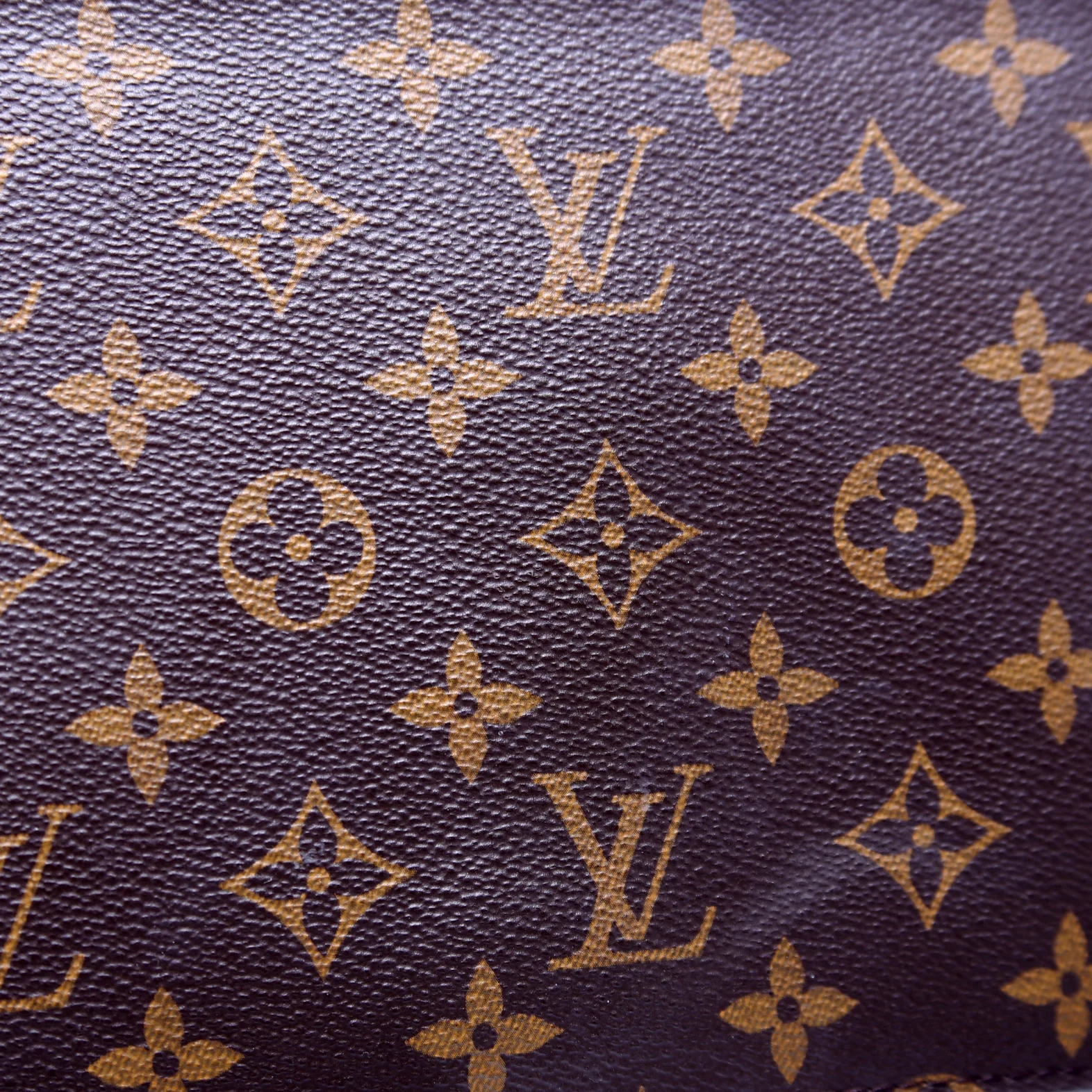Pochette Only Neverfull Monogram - Image 5
