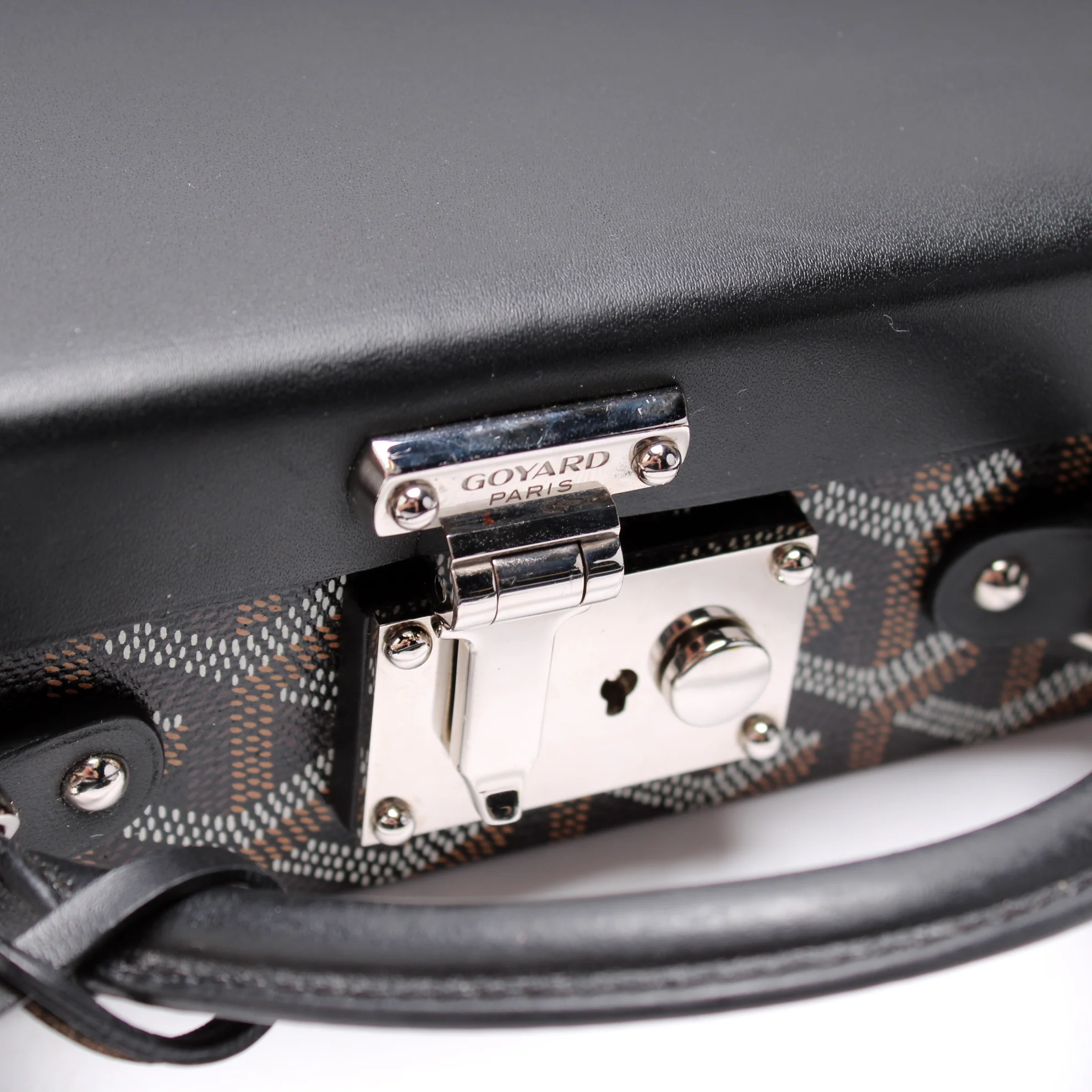 Regina Trunk Goyardine Canvas - Image 5