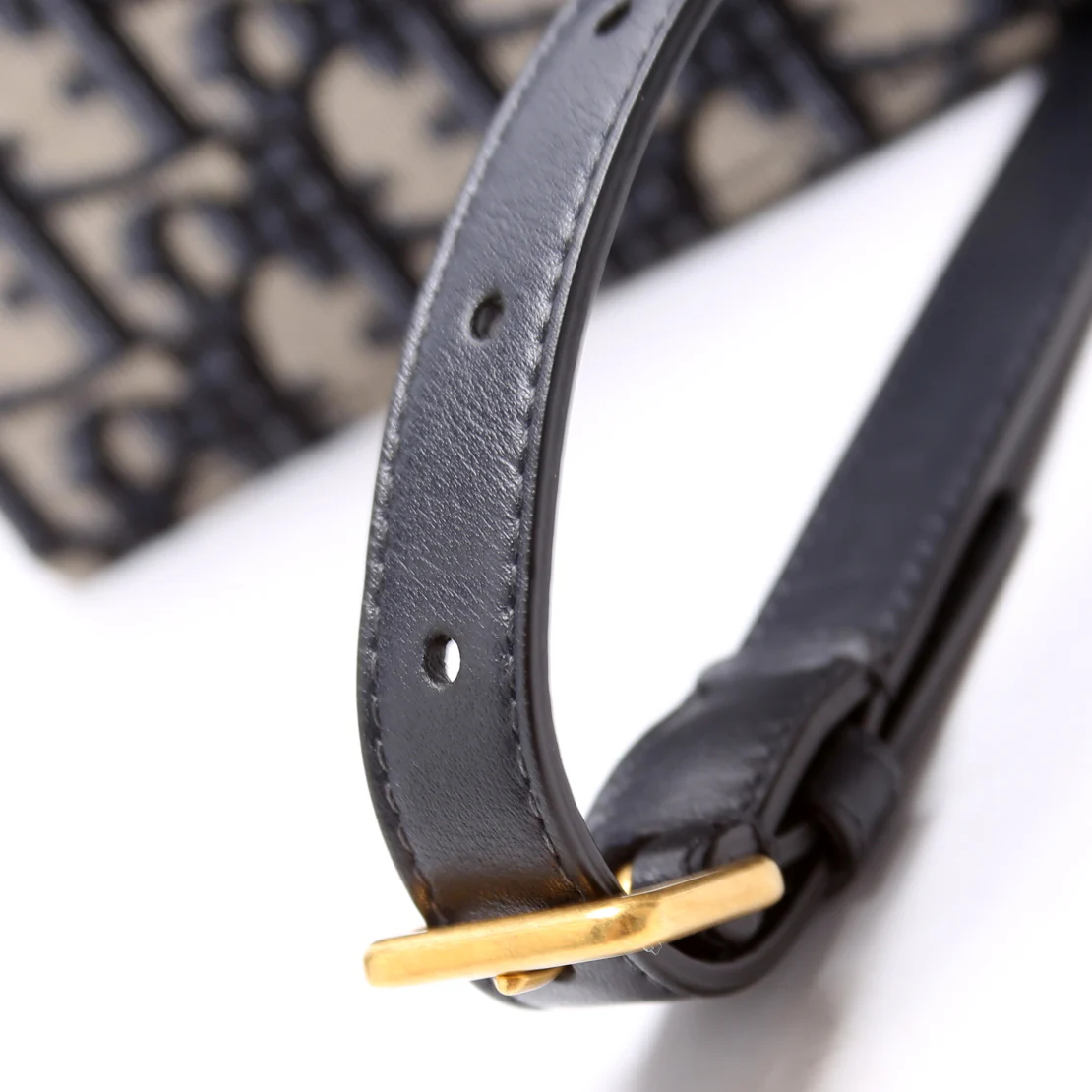 Slim Saddle Belt Bag Oblique - Image 5