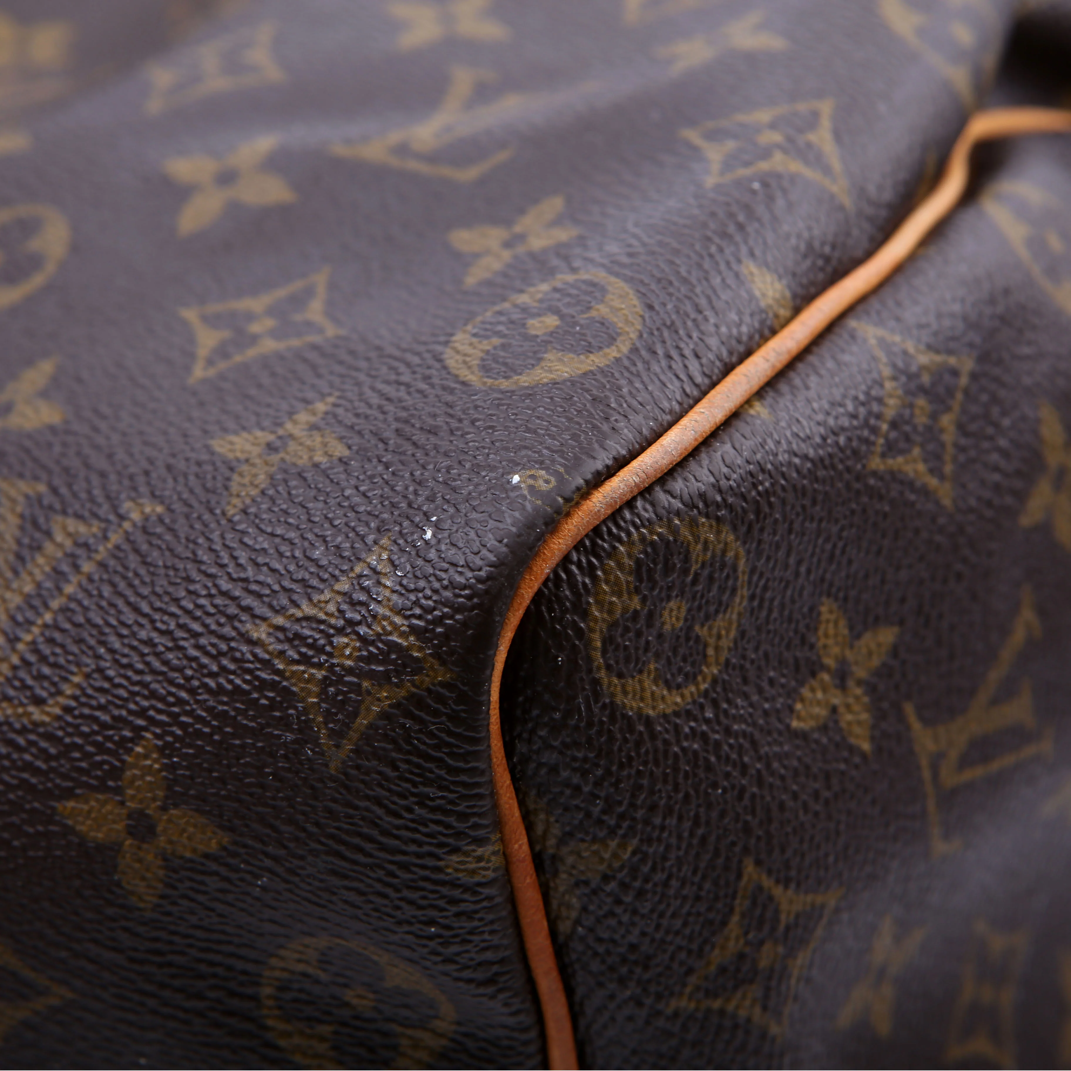 Speedy 35 Monogram - Image 7
